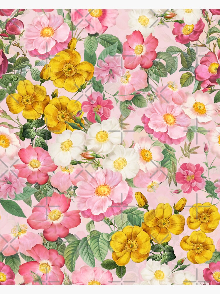 Vintage Redouté Roses Flower Garden Pattern Light Pink Sticker For Sale By Utart Redbubble 1167