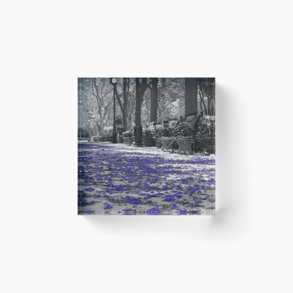 Item preview, Magic Carpet designed and sold by AM FineArtPrints.