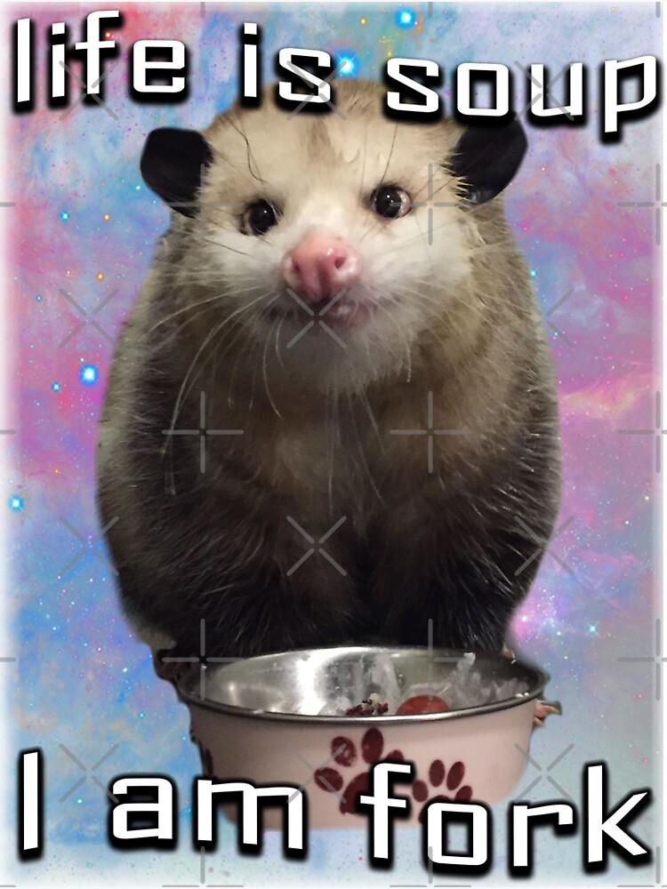 Life is soup, I am fork possum word art Magnet for Sale by snazzyseagull