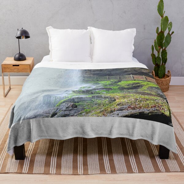 Item preview, Dry Falls Rocks And Moss 2 designed and sold by LisaWootenPhoto.