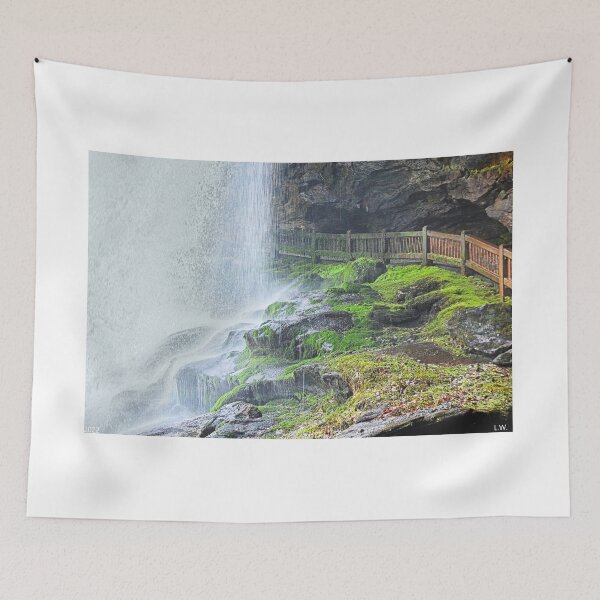 Item preview, Dry Falls Rocks And Moss 2 designed and sold by LisaWootenPhoto.