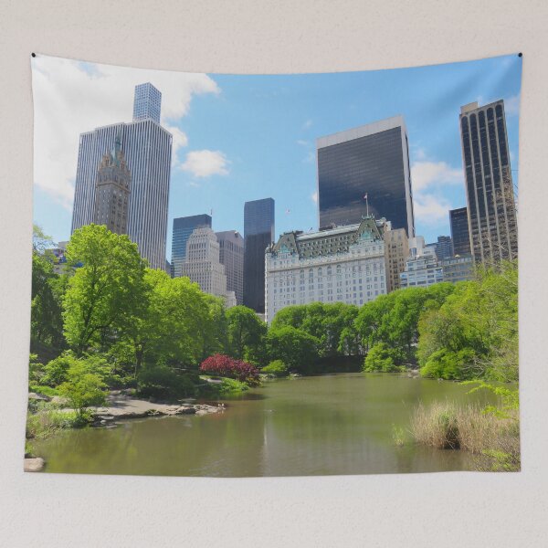 Item preview, NYC Central Park : the pond designed and sold by AHELENE.