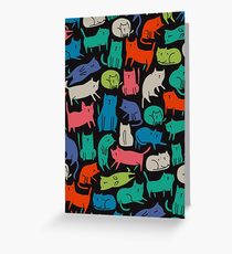 Cool Cats Greeting Card