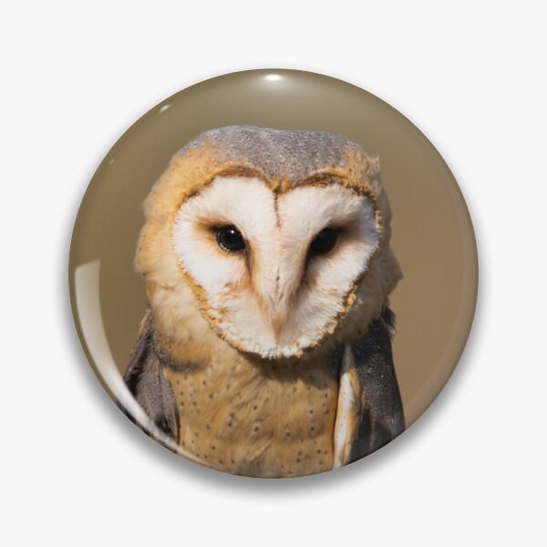 Item preview, The patient barn owl designed and sold by PaulMac900.