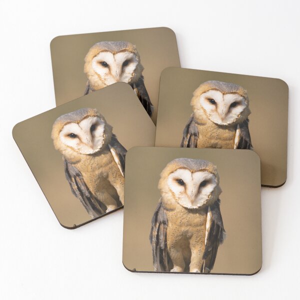Item preview, The patient barn owl designed and sold by PaulMac900.