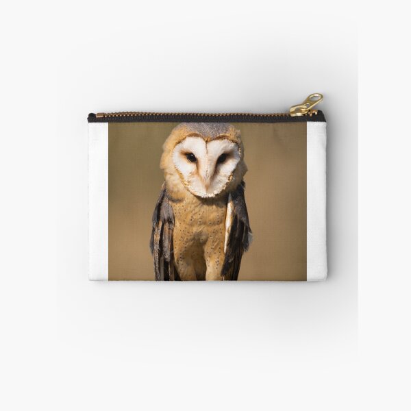 Item preview, The patient barn owl designed and sold by PaulMac900.