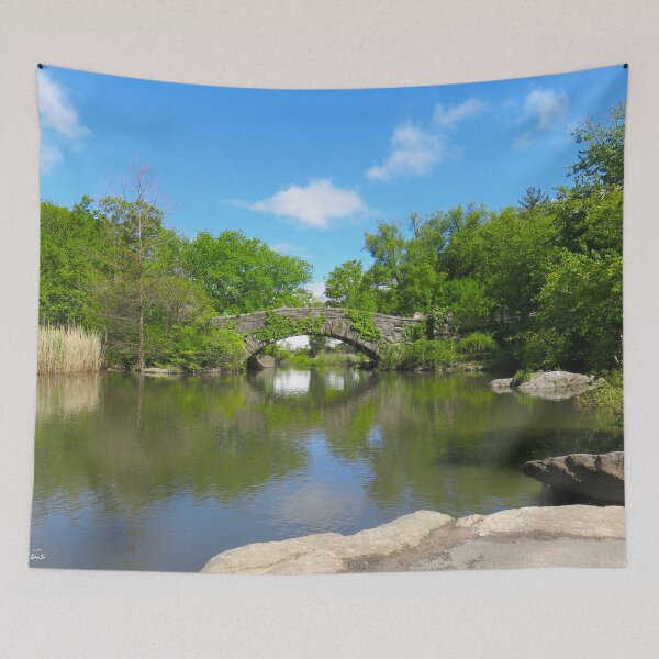 Item preview, NYC Central Park : Gapstow bridge designed and sold by AHELENE.