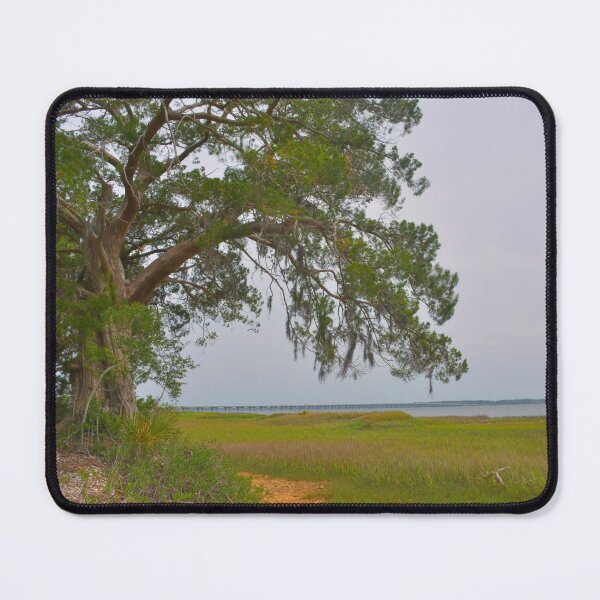 Item preview, Lowcountry Landscape designed and sold by LisaWootenPhoto.