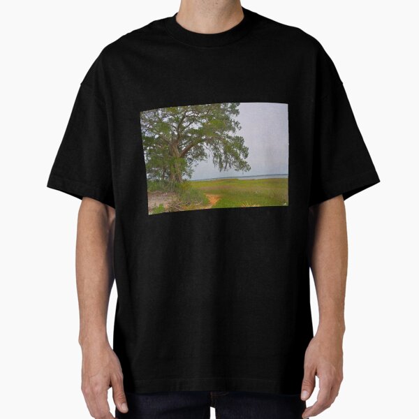 Item preview, Lowcountry Landscape designed and sold by LisaWootenPhoto.