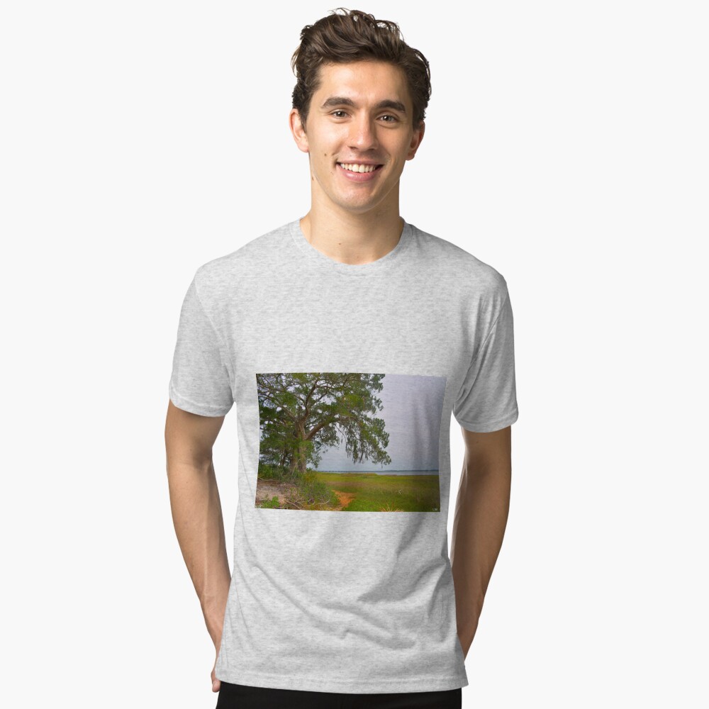 Item preview, Tri-blend T-Shirt designed and sold by LisaWootenPhoto.