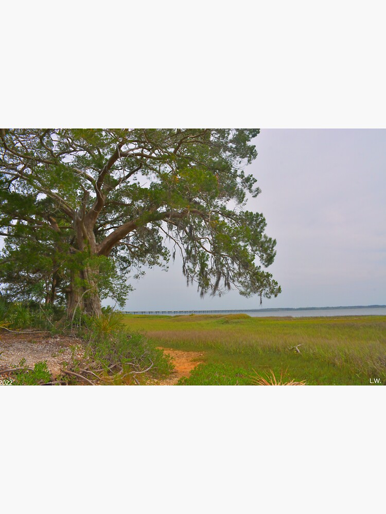 Thumbnail 3 of 3, Sticker, Lowcountry Landscape designed and sold by LisaWootenPhoto.