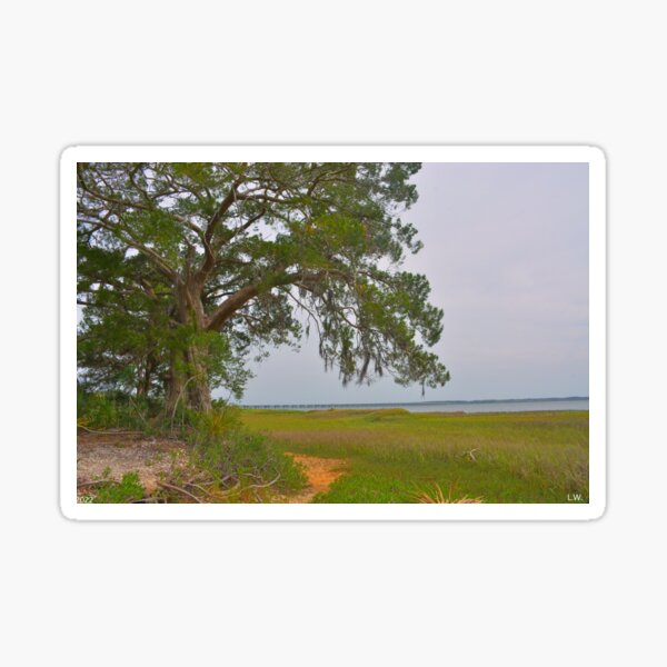 Item preview, Lowcountry Landscape designed and sold by LisaWootenPhoto.