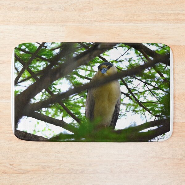 Item preview, Black Crowned Night Heron designed and sold by LisaWootenPhoto.