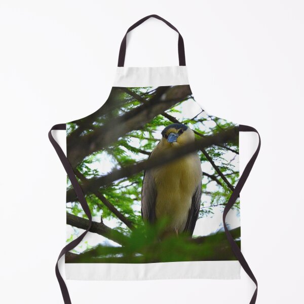 Item preview, Black Crowned Night Heron designed and sold by LisaWootenPhoto.