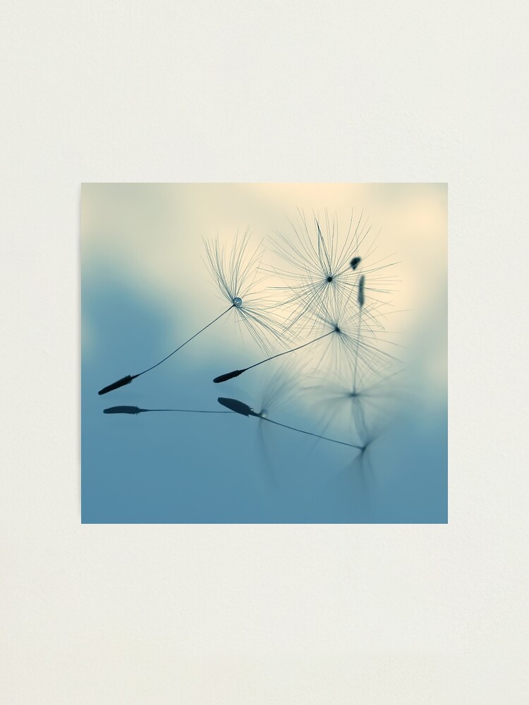 Alternate view of cloud nine Photographic Print