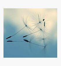 cloud nine Photographic Print