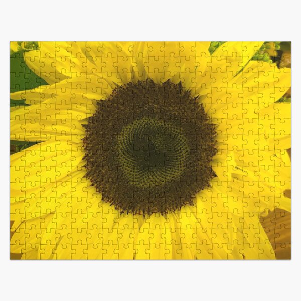Artikel-Vorschau von Freudig freudige sonnige gelbe Sonnenblume, designt und verkauft von DEC02.