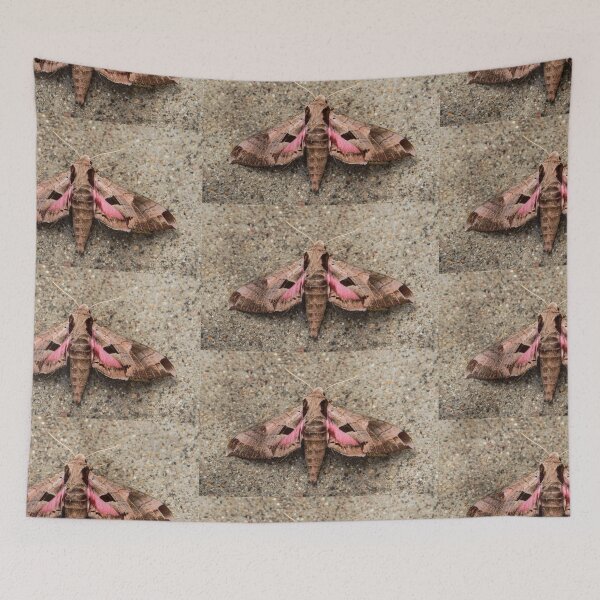 Item preview, Beautiful Butterfly  designed and sold by heatherfriedman.