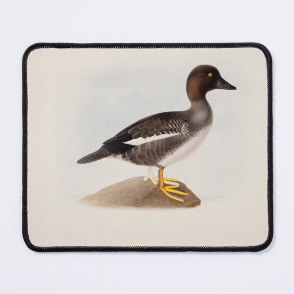 Item preview, Common Goldeneye by Magnus von Wright designed and sold by Amanda1775.