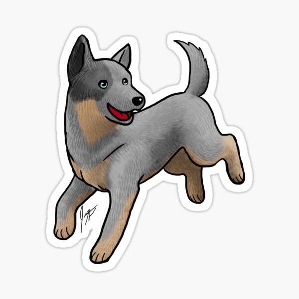 Australian Cattle Dog - Blue Heeler Sticker