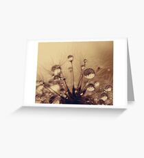 Toffee Drops Greeting Card