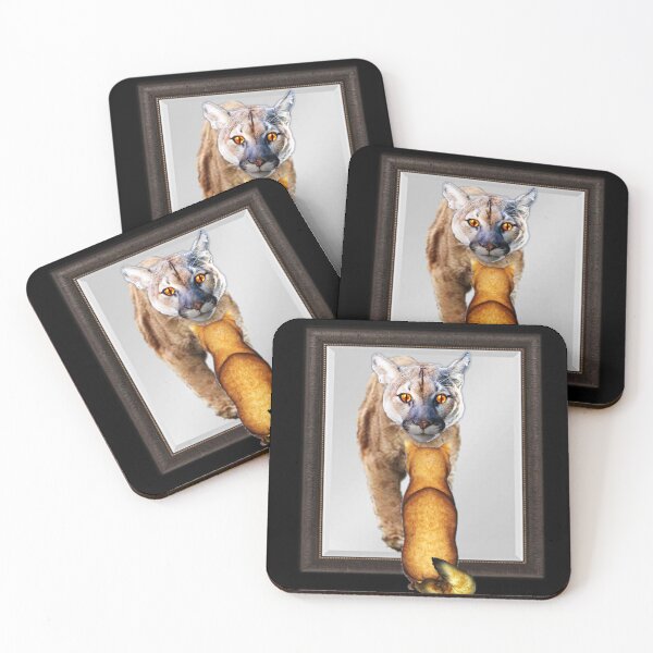 Item preview, Sammy's Imagination designed and sold by Patricia Brown.