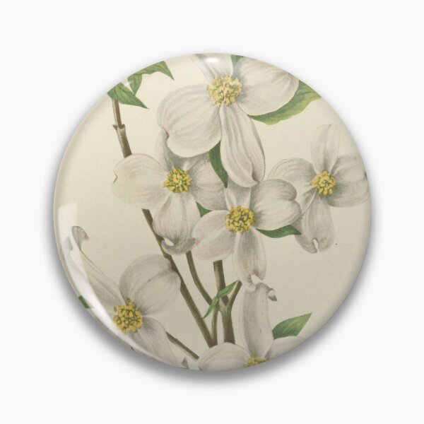 Artikelvorschau, Vintage botanische Blumenkunst - blühender Hartriegel - Cornus Florida entworfen und verkauft von AlleghenyDesign.