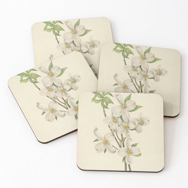 Item preview, Vintage Botanical Flower Art - Flowering Dogwood - Cornus florida designed and sold by AlleghenyDesign.