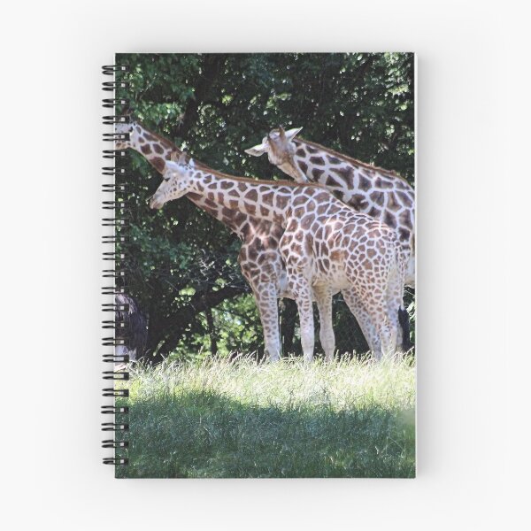 Item preview, GIRAFFES designed and sold by BOLLA67.