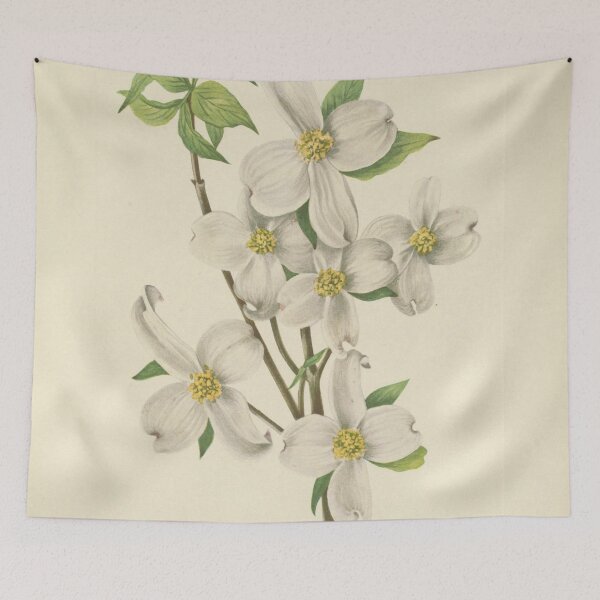 Item preview, Vintage Botanical Flower Art - Flowering Dogwood - Cornus florida designed and sold by AlleghenyDesign.