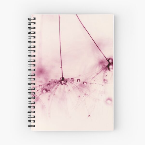 Item preview, Dandelion - pink blush designed and sold by Ingrid Beddoes Photography.