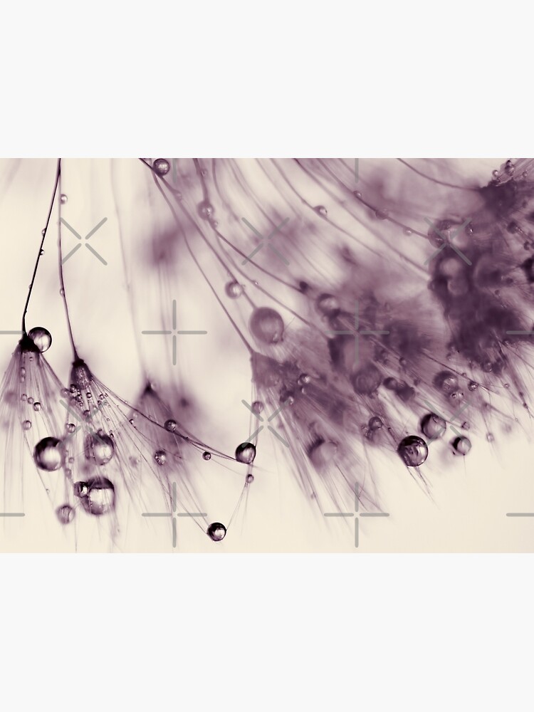 droplets of aubergine by Ingz