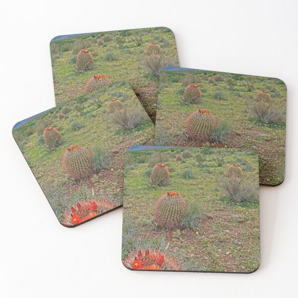 Item preview, Barrel Cacti with Organ Mountains Backdrop designed and sold by William E Lopez.