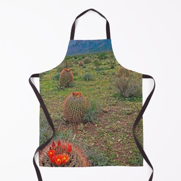 Item preview, Barrel Cacti with Organ Mountains Backdrop designed and sold by William E Lopez.