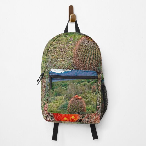 Item preview, Barrel Cacti with Organ Mountains Backdrop designed and sold by William E Lopez.