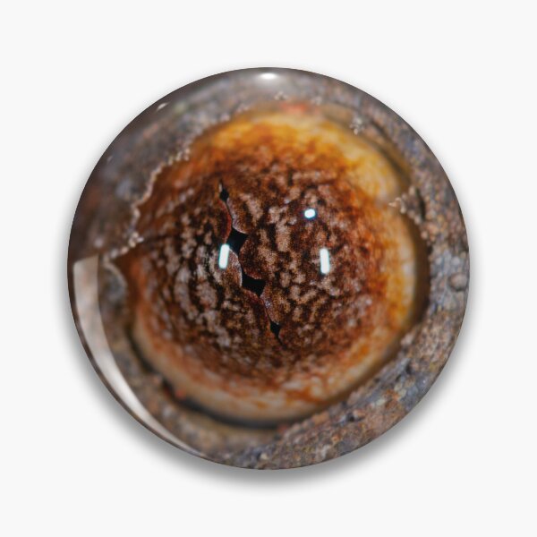 Item preview, The Eye of Uroplatus garmaso designed and sold by Mark D. Scherz.