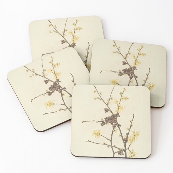 Item preview, Vintage Botanical Flower Art - Witch-Hazel - Hamamelis virginiana designed and sold by AlleghenyDesign.