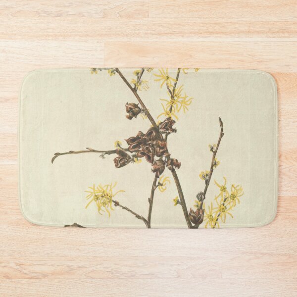 Item preview, Vintage Botanical Flower Art - Witch-Hazel - Hamamelis virginiana designed and sold by AlleghenyDesign.