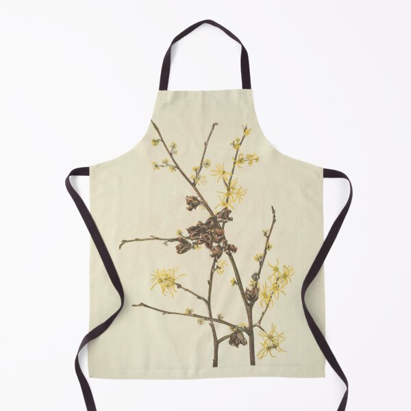 Item preview, Vintage Botanical Flower Art - Witch-Hazel - Hamamelis virginiana designed and sold by AlleghenyDesign.