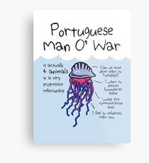Portuguese Man O' War Is Actually 4 Animals In A Very Progressive Relationship Metal Print