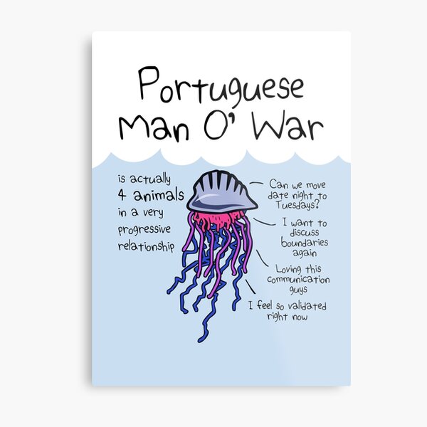 Portuguese Man O' War Is Actually 4 Animals In A Very Progressive Relationship Metal Print
