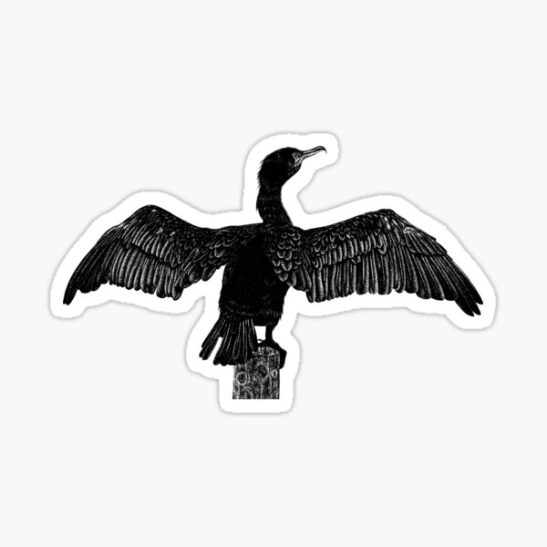 Item preview, Cormorant drawing designed and sold by LorenDowding.