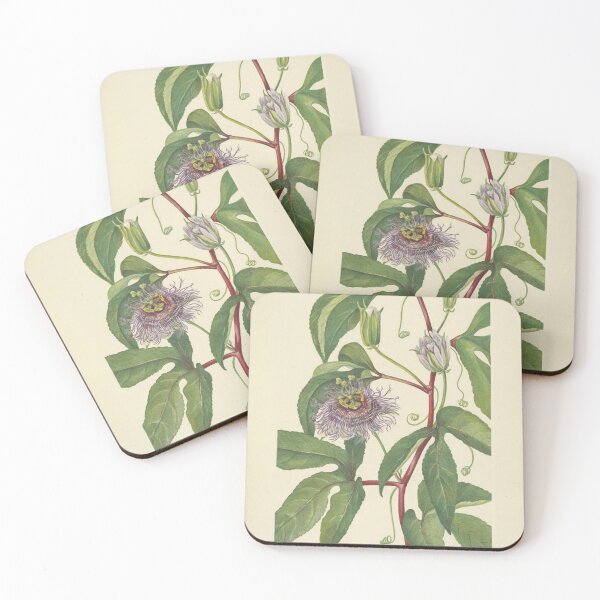 Item preview, Vintage Botanical Flower Art - Passion-Flower - Passiflora incarnata designed and sold by AlleghenyDesign.