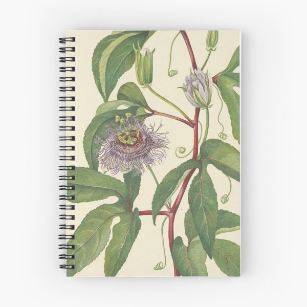 Item preview, Vintage Botanical Flower Art - Passion-Flower - Passiflora incarnata designed and sold by AlleghenyDesign.