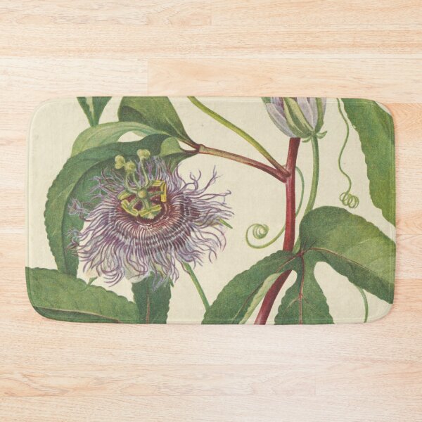 Item preview, Vintage Botanical Flower Art - Passion-Flower - Passiflora incarnata designed and sold by AlleghenyDesign.