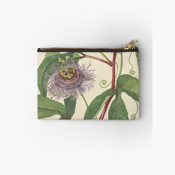 Item preview, Vintage Botanical Flower Art - Passion-Flower - Passiflora incarnata designed and sold by AlleghenyDesign.