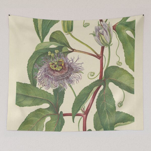 Item preview, Vintage Botanical Flower Art - Passion-Flower - Passiflora incarnata designed and sold by AlleghenyDesign.