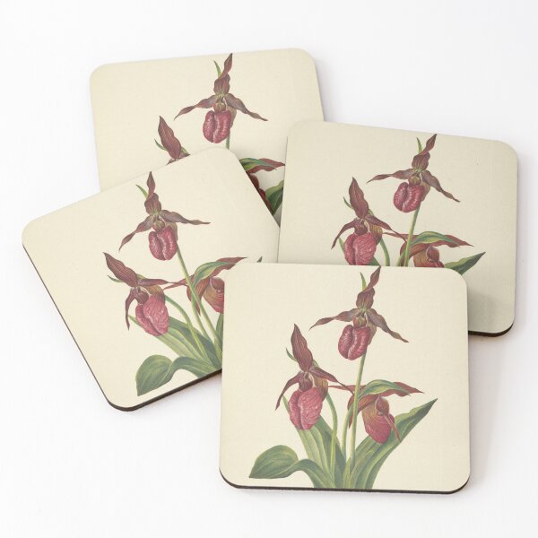 Item preview, Vintage Botanical Flower Art - Lady's-Slipper - Moccasin - Cypripedium acaule  designed and sold by AlleghenyDesign.