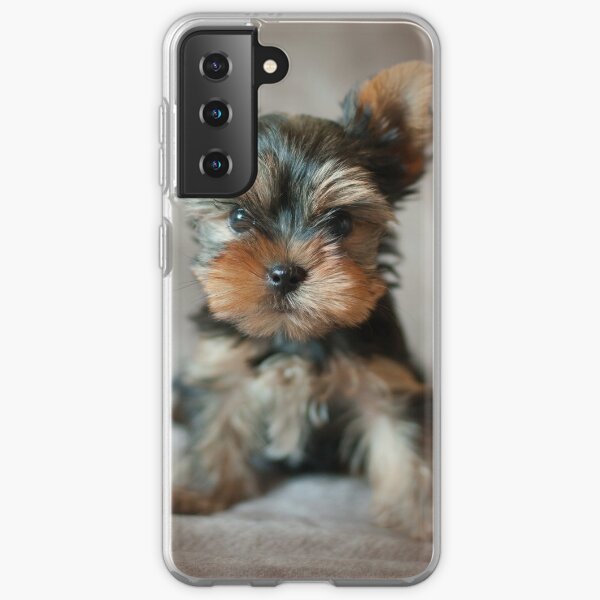 Cute puppy of the Yorkshire Terrier Samsung Galaxy Soft Case