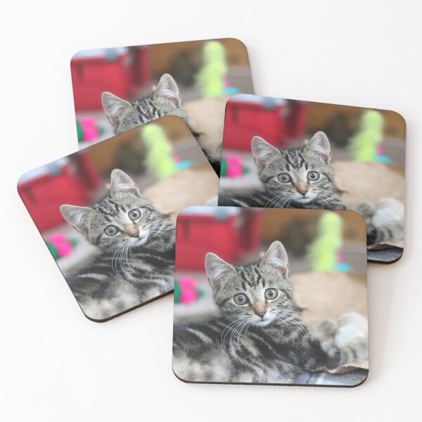Item preview, Playful kitten designed and sold by GreyFeatherPhot.